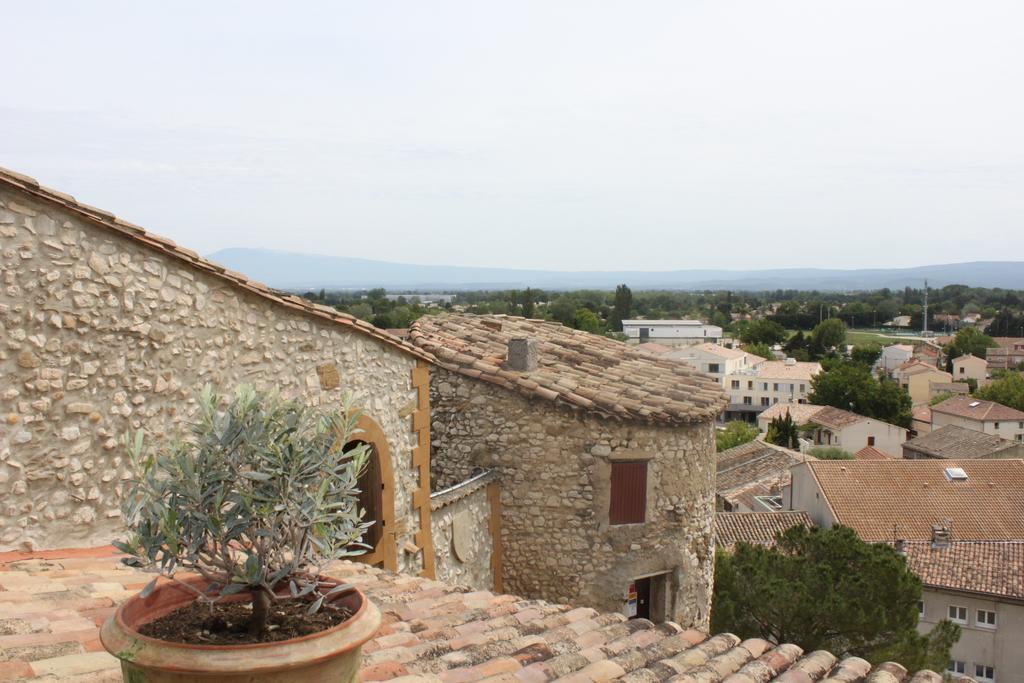 Chateau De Vedene Bagian luar foto